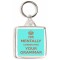 I'm Mentally Correcting your Grammar - Square Keyring