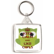 Keep Calm and Like Owls - Square Keyring