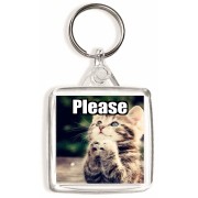 Please - Square Keyring
