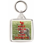 Keep Calm and Love Donkeys - Square Keyring