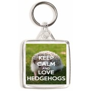 Keep Calm and Love Hedgehogs - Square Keyring