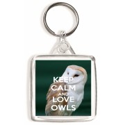 Keep Calm and Love Owls - Square Keyring