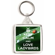 Keep Calm and Love Ladybirds - Square Keyring