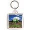 Keep Calm I'm a Geochemist - Square Keyring