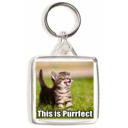 This is Purrfect - Square Keyring