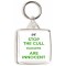 Stop the Cull Badgers are Innocent - Square Keyring