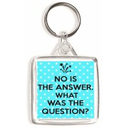 No is the Answer. What was the Question? - Square Keyring