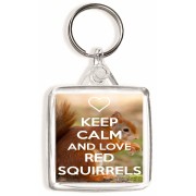 Keep Calm and Love Red Squirrels - Square Keyring