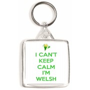 I Can't Keep Calm I'm Welsh - Square Keyring