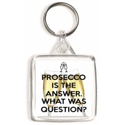 Prosecco is the Answer. What was the Question? - Square Keyring