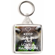 Keep Calm and Love a Raccoon - Square Keyring
