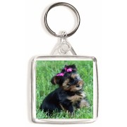 Picture of a Yorkshire Terrier - Square Keyring