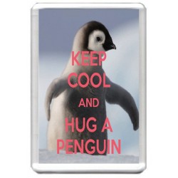 Large Fridge Magnets